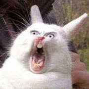 OMG%25252Bphoto%25252Bcomments.jpg