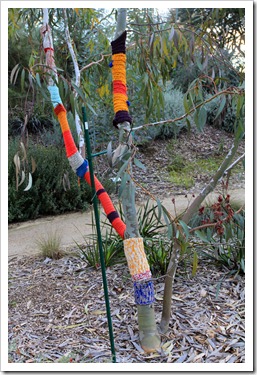 130119_UCDA_AustralianCollection_Natural-Transformations-yarn-bombing_05