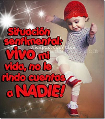 imágenes con frases de desamor 14febrero (22) imágenes con frases de desamor 14febrero (22)