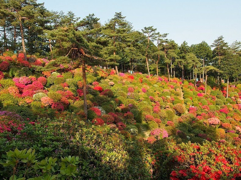 shiofune-kannon-ji-10