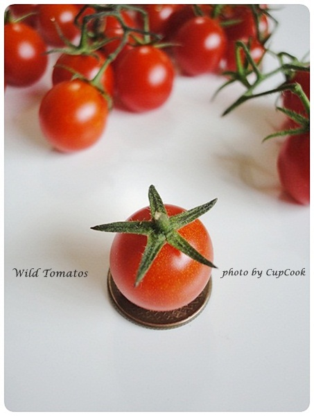 tomato (24)