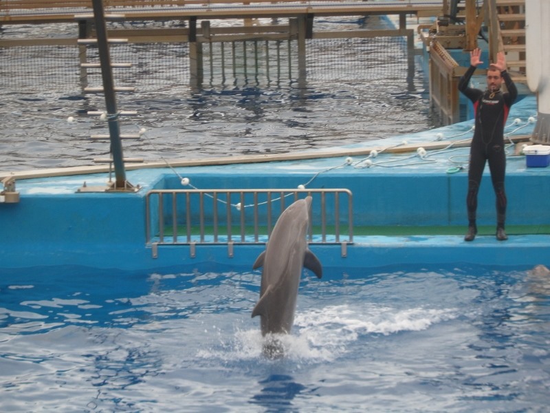 [SAM_7545%2520%2528800x600%2529%255B5%255D.jpg]