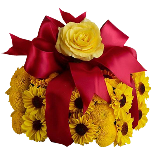 Tube2669_Sunshine_22_04_09_sdt.png