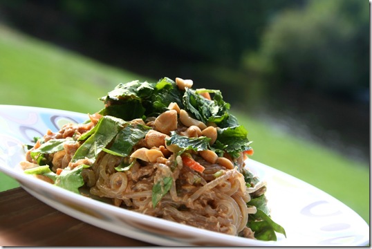 Chicken Satay Noodle Salad