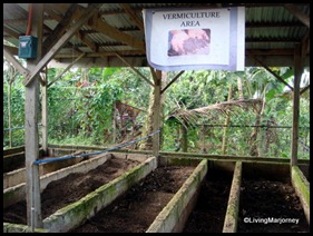 Costales Farm in Majayjay, Laguna (16)