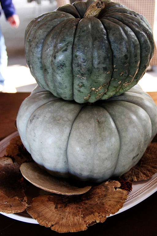 [CL14%255B3%255D.jpg]