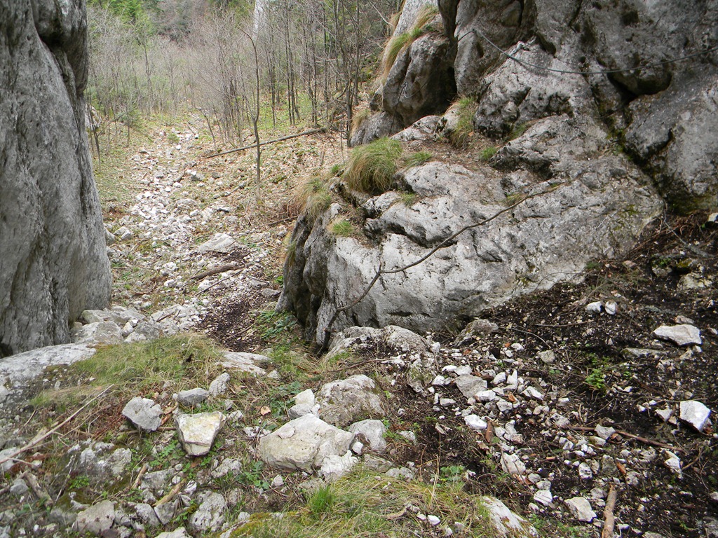 [DSCN48633.jpg]