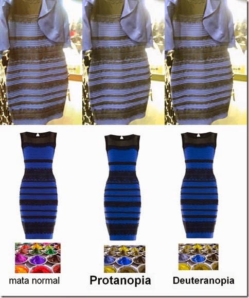 dress_white-gold_and_blue-black_in_color-blinds_www.dadanpurnama,com_