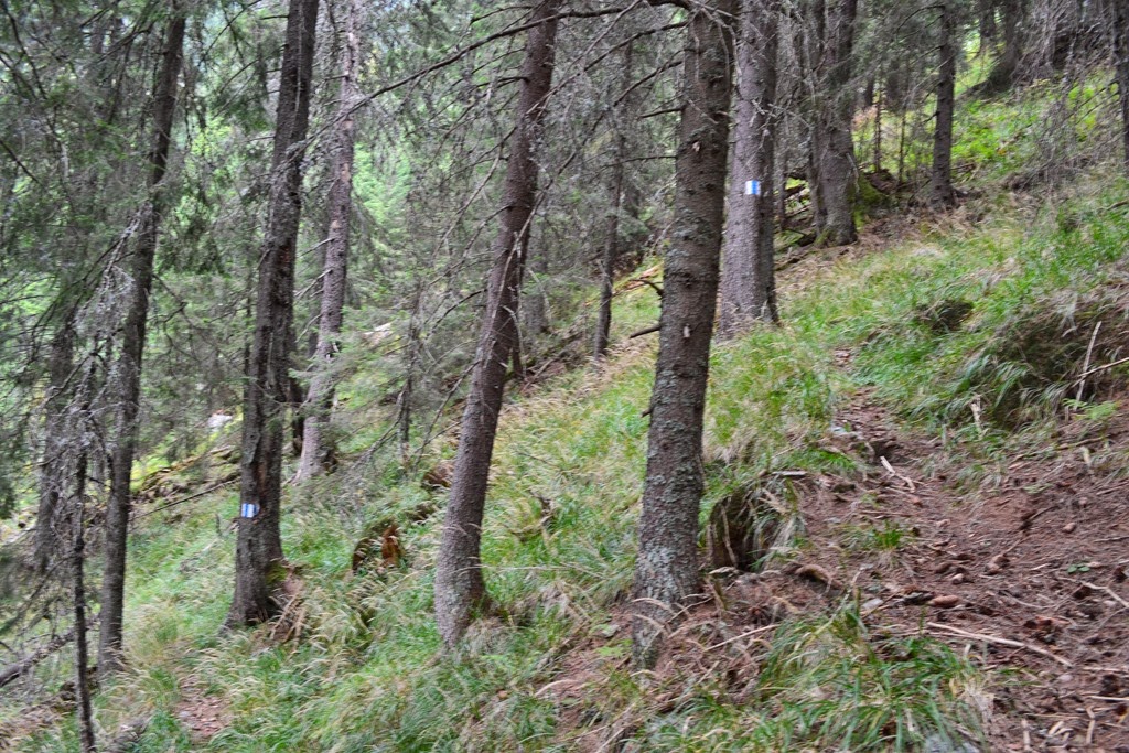 [DSC_1363%255B3%255D.jpg]