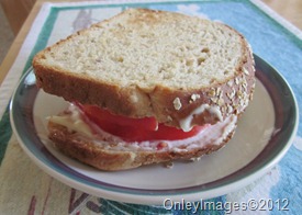tomato sandwich (5)