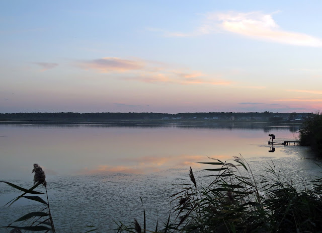 оз.Разлив вечером (Тришин Александр)