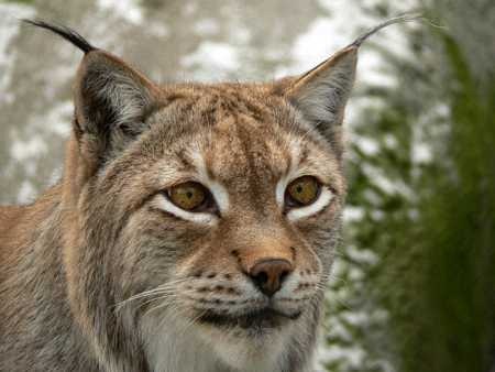 [fb16c38c5081%255B3%255D.jpg]