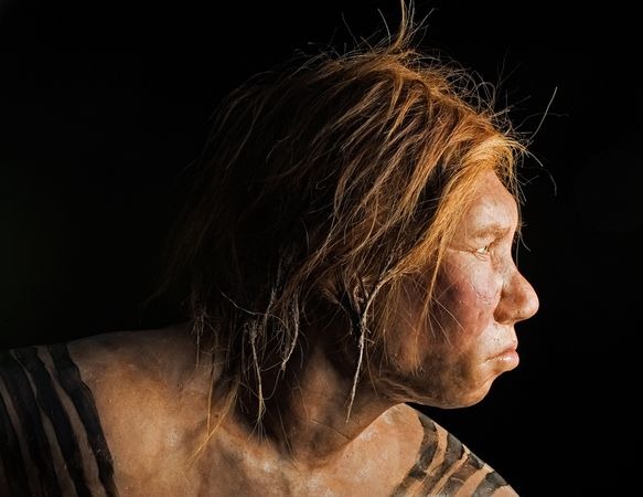 [neanderthals-interbreeding-humans_19941_600x450%255B3%255D.jpg]
