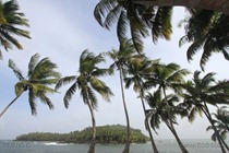 IMG_0419 IMG_0419