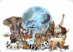 animales-en-peligro-de-extincion[4]