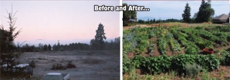 [Lantzville-farm-before-and-after%255B5%255D.jpg]