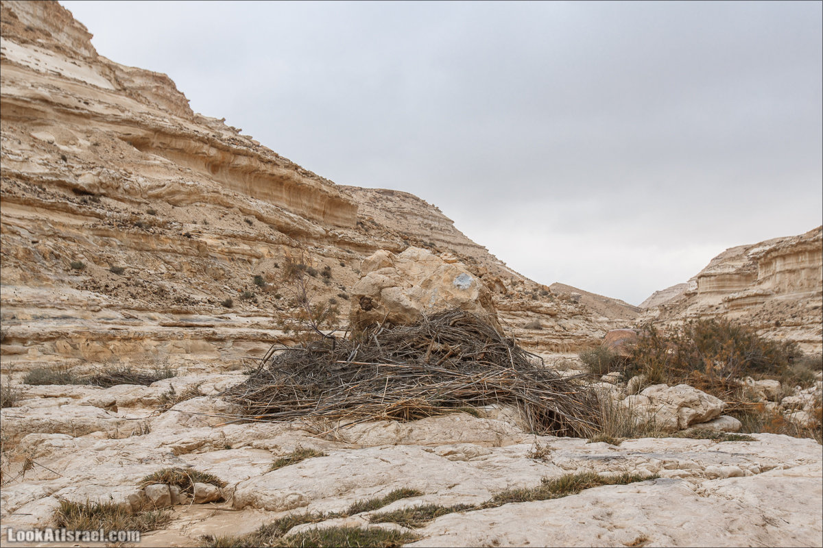 Ручей Акев и источник Эйн Акев в пустыне Негев. LookAtIsrael.com - Фото путешествия по Израилю