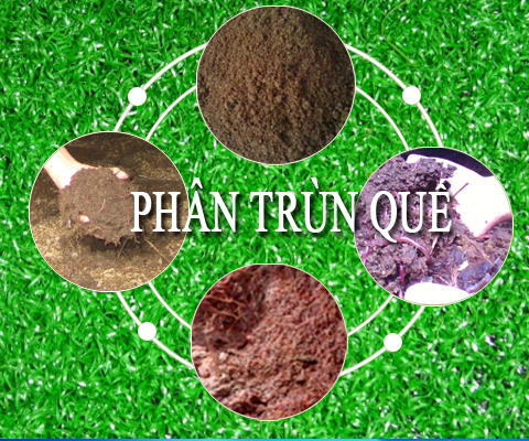 [1377935877_left2%255B2%255D.png]