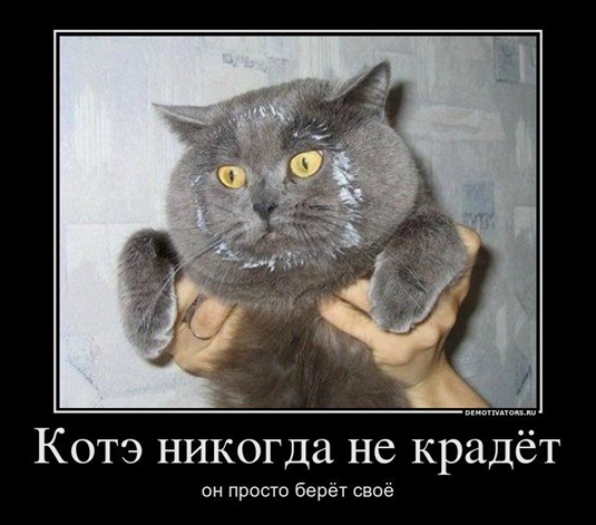 [clip_image012%255B4%255D%255B2%255D.jpg]