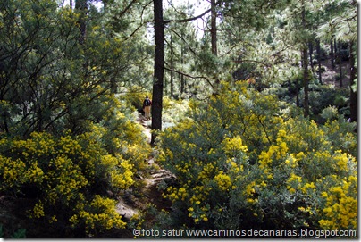 2668 Cañadón Jierro 2668 Cañadón Jierro
