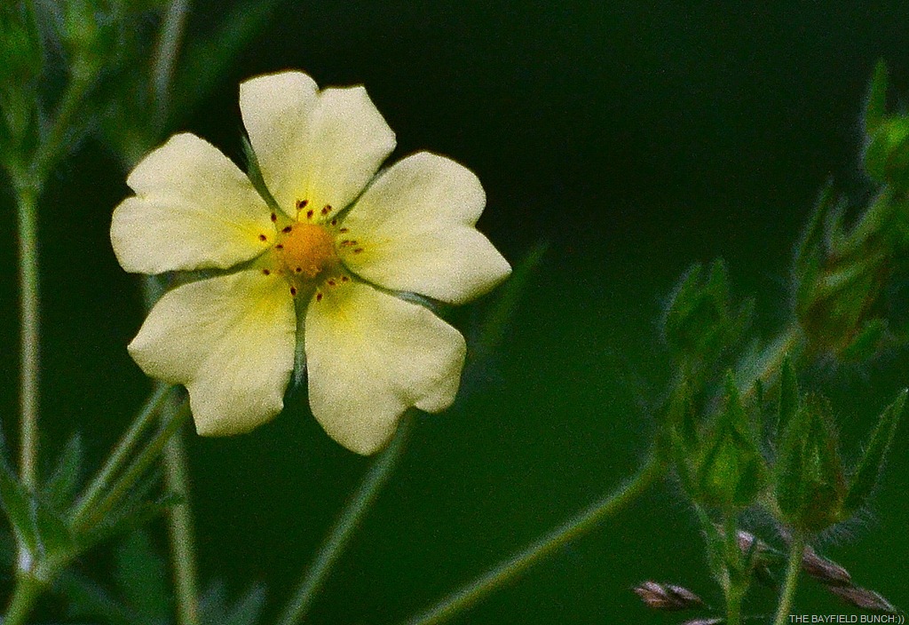 [DSC_0008%255B4%255D.jpg]