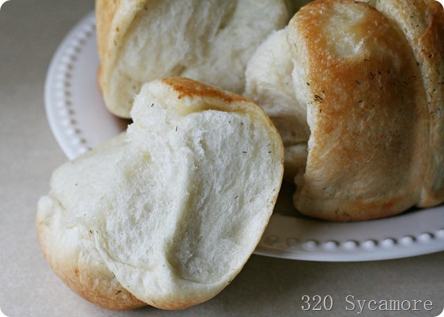 delicious easy dill rolls