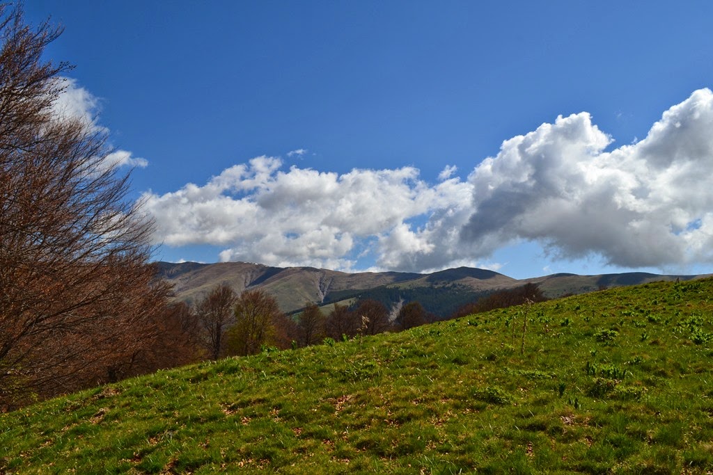 [DSC_92953.jpg]