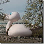 IMG_9313 IMG_9313