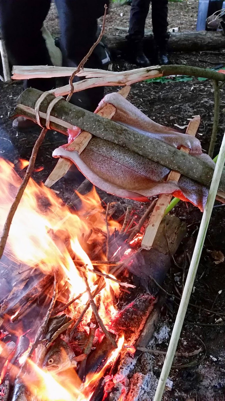 Belfast Bushcraft Blog Cooking trout.
