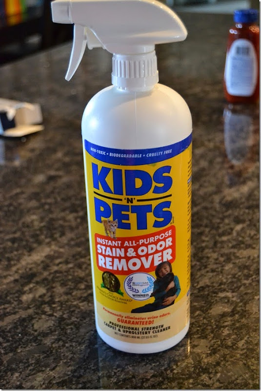 The Best Carpet Cleaner I have ever Tried