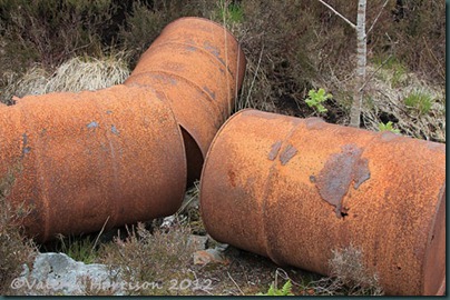 33-rusty-barrels