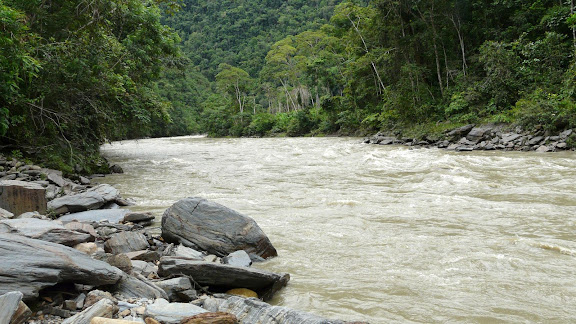 Rio Zongo (alt. 600 m). Bolivie, 30 janvier 2008. Photo : J. F. Christensen