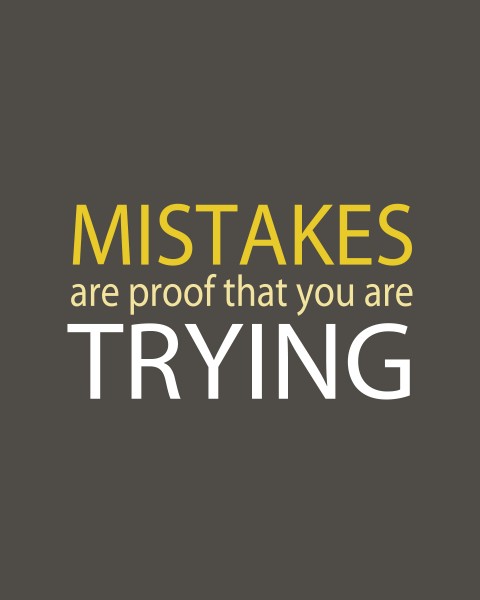 Mistakes are Proof that you are trying1 480x600