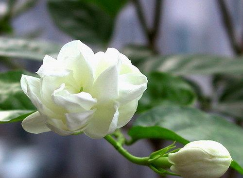 [image%255B6%255D.png]