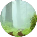 Cyndi Albright profile picture