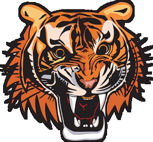 [tigres%2520%252813%2529%255B5%255D.jpg]