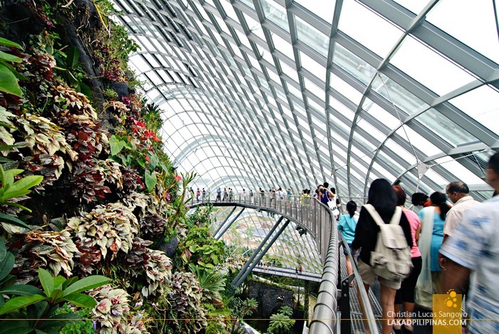 Cloud Forest Walkways at Gardens by the Bay