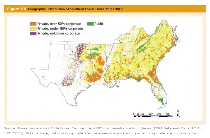[private-ownership-of-southern-forest%255B2%255D.jpg]
