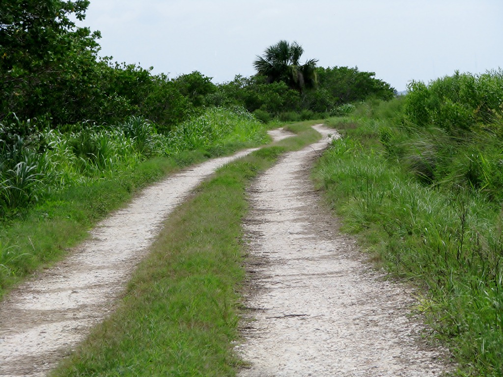 [7855%2520Peacocks%2520Pocket%2520Road%252C%2520Merritt%2520Island%2520Wildlife%2520Refuge%252C%2520Florida%255B3%255D.jpg]