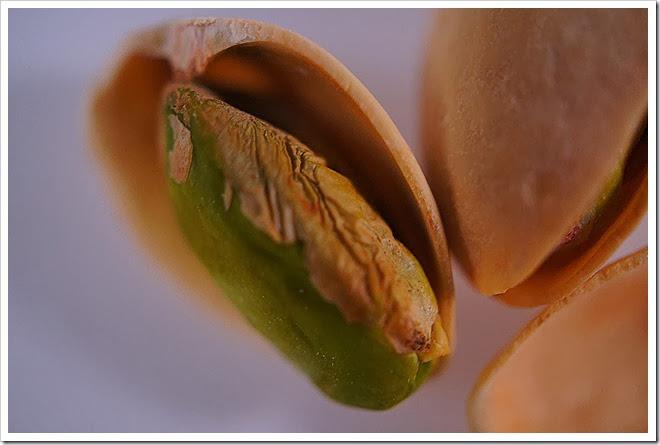 pistachios-free-pictures-1 (1366)