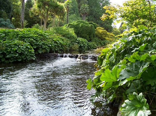 Achieving Tranquillity River Garden