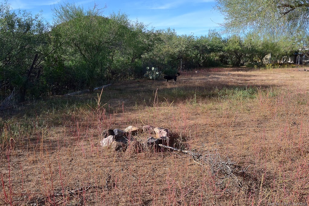 [DSC_0108%255B4%255D.jpg]