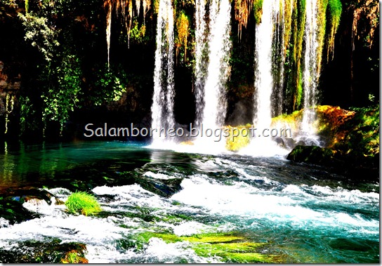 DSC_1489_Fotor DSC_1489_Fotor