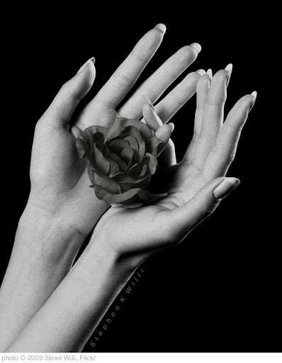 'Woman's Hands with Rose' photo (c) 2009, Steve Willi - license: http://creativecommons.org/licenses/by-nd/2.0/
