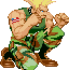 crouch-guile-nomove