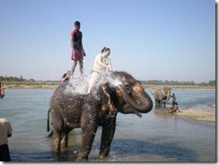 royal-chitwan-national royal-chitwan-national
