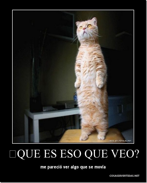 desmotivaciones animales 3 desmotivaciones animales 3
