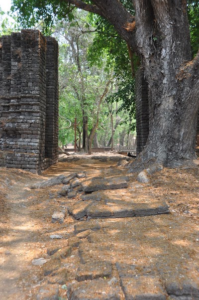 DSC_0091.JPG