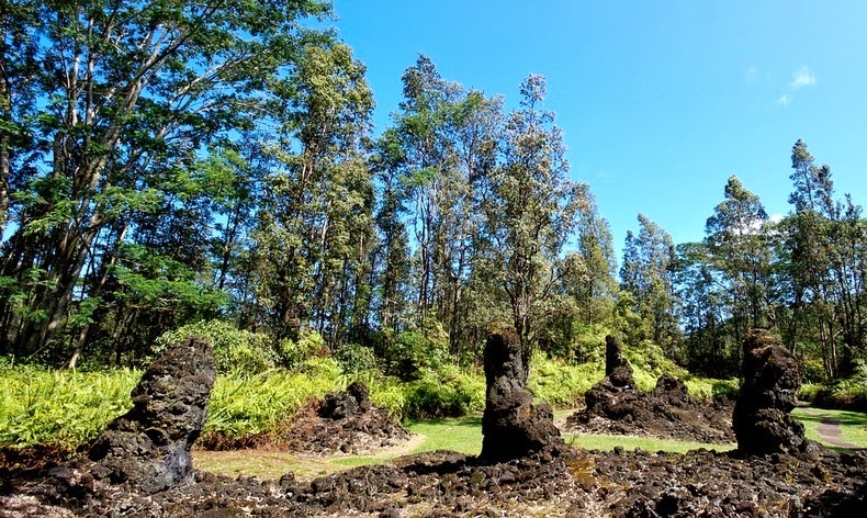 lava-trees-4
