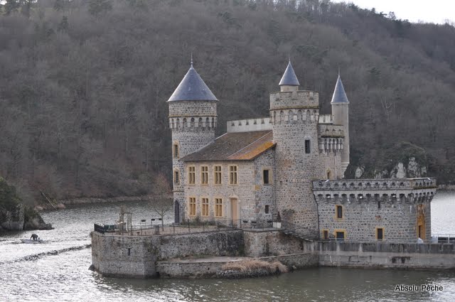 La Loire au château de la Roche photo #795